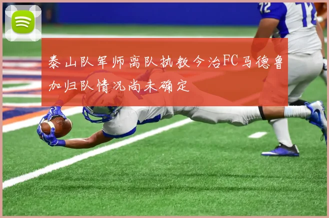 泰山队军师离队执教今治FC马德鲁加归队情况尚未确定